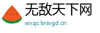 无敌天下网